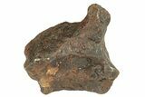 Canyon Diablo Iron Meteorite (g) - Arizona #270703-1